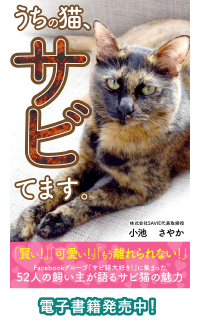 うちの猫、サビてます。