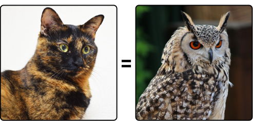 たまにミミズクに見える件