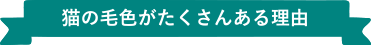 猫の毛色がたくさんある理由