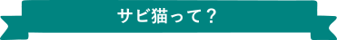 サビ猫って？